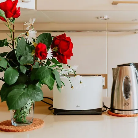 Διαμέρισμα Homeforguest Rural House With Garden El Laurel Tacoronte