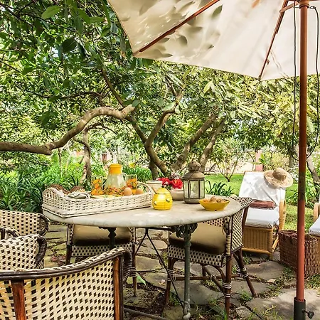 Διαμέρισμα Homeforguest Rural House With Garden El Laurel Tacoronte