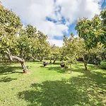 Apartamento Homeforguest Rural House With Garden El Laurel *