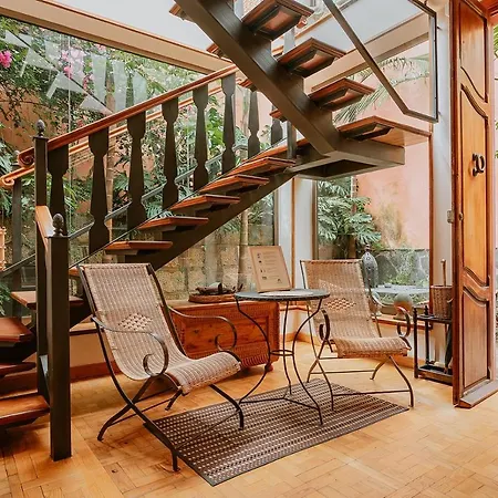 Apartament Homeforguest Rural House With Garden El Laurel Tacoronte
