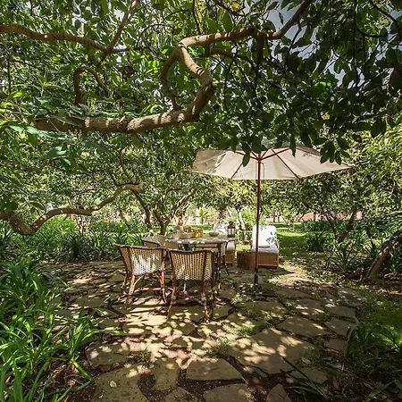 Homeforguest Rural House With Garden El Laurel Apartment