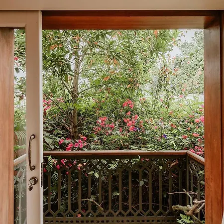 Homeforguest Rural House With Garden El Laurel Apartament *