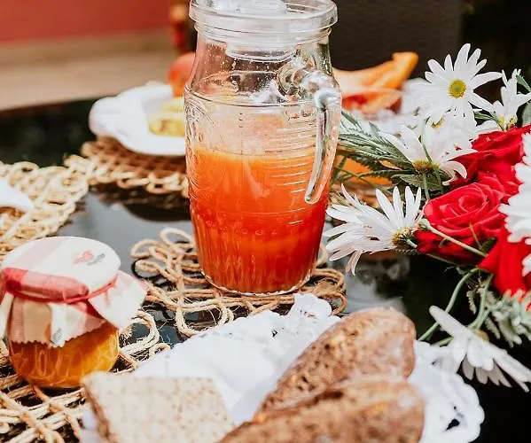 Homeforguest Rural House With Garden El Laurel * Tacoronte