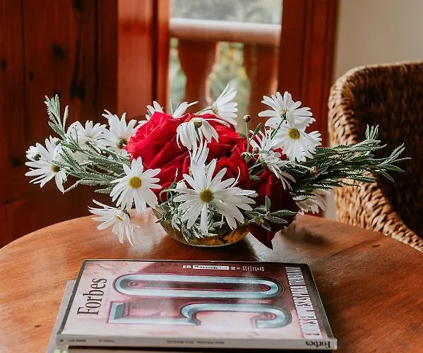 Homeforguest Rural House With Garden El Laurel Tacoronte