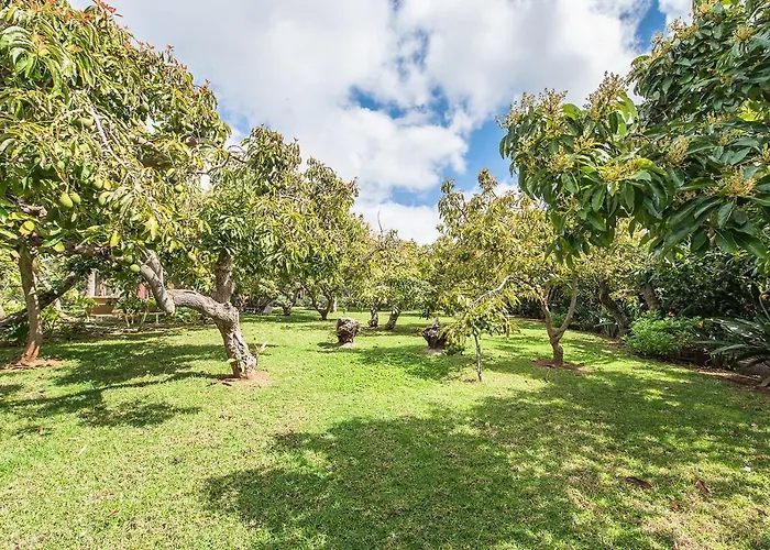 Apartment Homeforguest Rural House With Garden El Laurel *