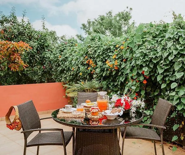 Homeforguest Rural House With Garden El Laurel