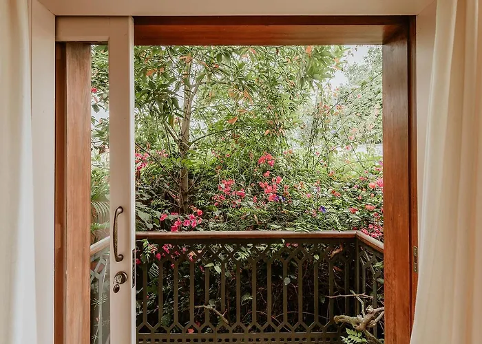 Homeforguest Rural House With Garden El Laurel Apartment *