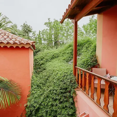 Homeforguest Rural House With Garden El Laurel Tacoronte
