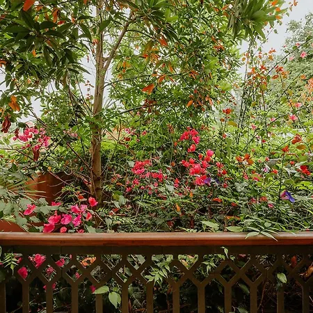 아파트 Homeforguest Rural House With Garden El Laurel *