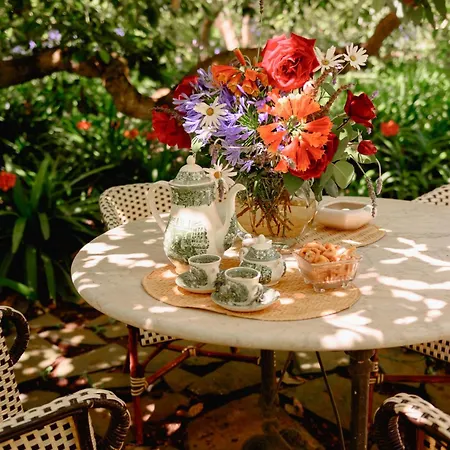 Apartman Homeforguest Rural House With Garden El Laurel Tacoronte