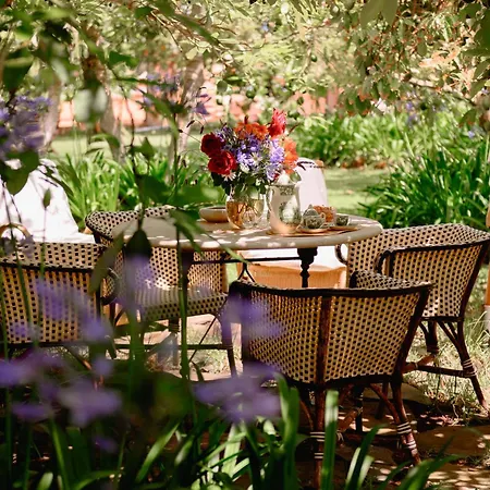 Homeforguest Rural House With Garden El Laurel Apartman Tacoronte