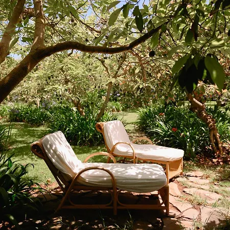 Homeforguest Rural House With Garden El Laurel דירה טקורונטה
