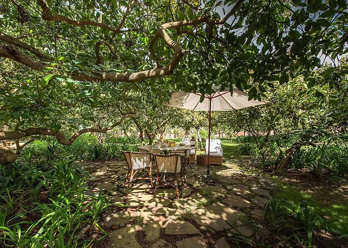 Homeforguest Rural House With Garden El Laurel 아파트