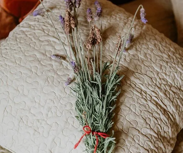 Homeforguest Rural House With Garden El Laurel Διαμέρισμα Tacoronte