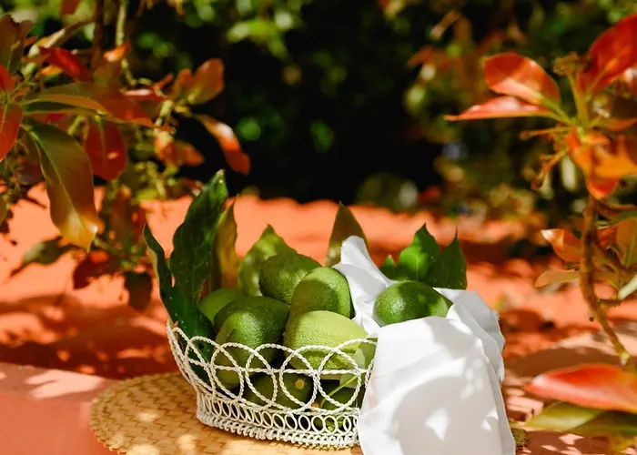 Homeforguest Rural House With Garden El Laurel