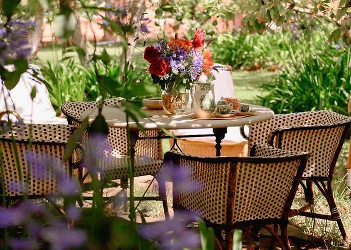 Homeforguest Rural House With Garden El Laurel 아파트 타코론테