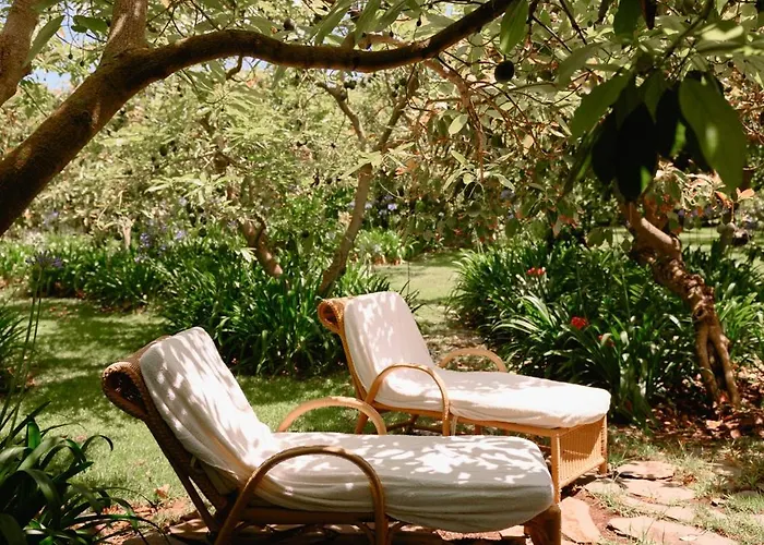 Homeforguest Rural House With Garden El Laurel Διαμέρισμα Tacoronte