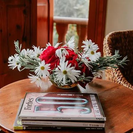 Homeforguest Rural House With Garden El Laurel Tacoronte