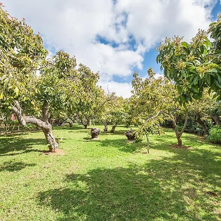 Appartement Homeforguest Rural House With Garden El Laurel *