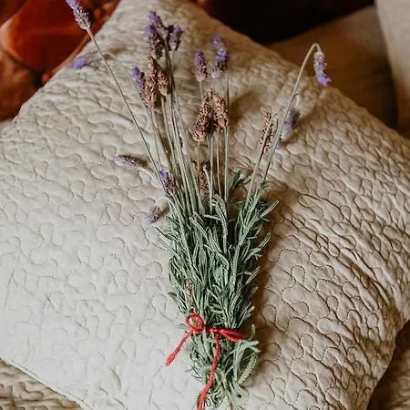 Homeforguest Rural House With Garden El Laurel Appartement Tacoronte