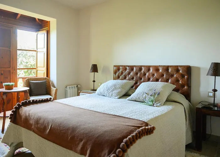 公寓 Homeforguest Rural House With Garden El Laurel 塔科龙特